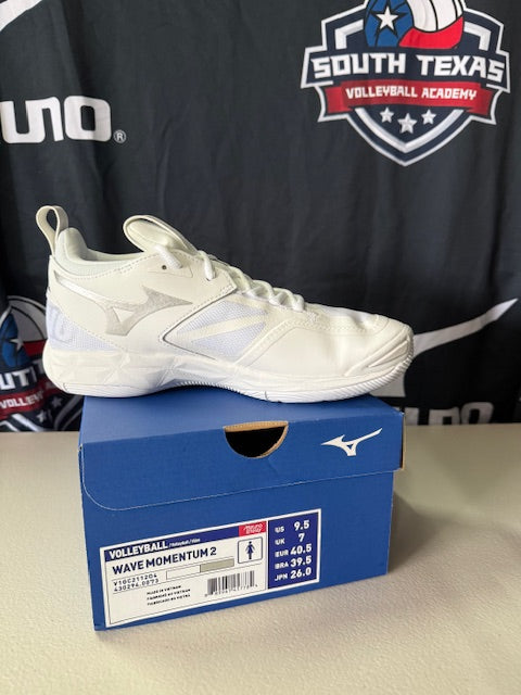 Mizuno Wave Momentum 2 Shoes