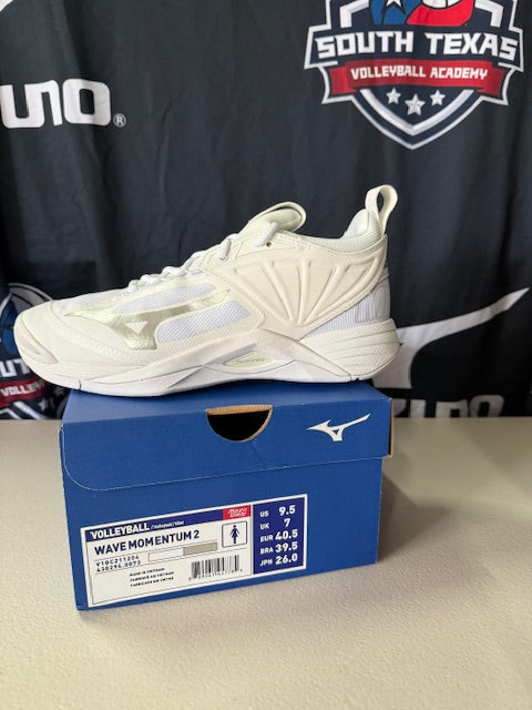 Mizuno Wave Momentum 2 Shoes